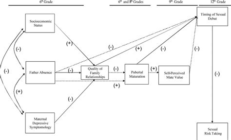 theoretical model dashed lines represent predicted sex differences in download scientific