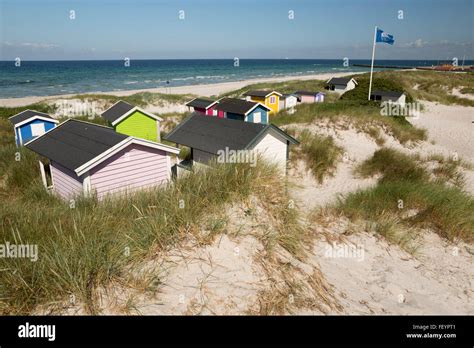Colourful Beach Huts In Sand Dunes Skan R Falsterbo Falsterbo Peninsula Sk Ne South Sweden
