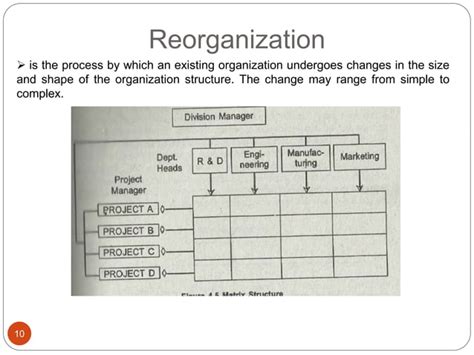Principles Of Management Chapter 4 Organizing Ppt