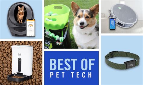 Best Pet Tech 2022 High Tech Pet Gadgets And Smart Devices Bechewy
