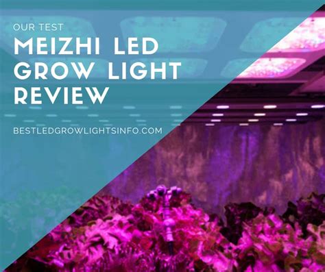 Cnshenzhen mei zhi photoelectric technology limited. Meizhi LED Grow Light Review - Best LED Grow Lights Info