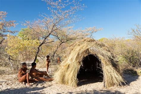 Bushmen People Grootfontein Namibia Traditional Bushmen Hut Yair Karelic Photography