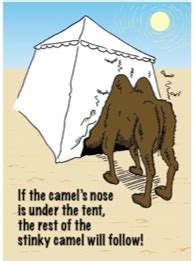 How the camel got his hump. Is gun control a basic tenet of Democratic ideals ...