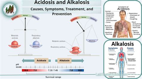 Acidosis And Alkalosis Causes Symptoms Treatment And Prevention