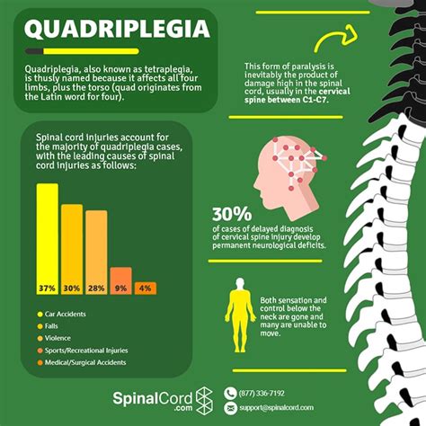Quadriplegia And Tetraplegia Definition Causes Symptoms And Treatment