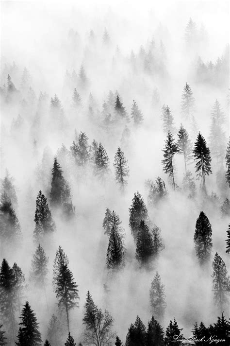 Top 10 Most Amazing Black And White Photos | White photography, Black, white, Black, white ...
