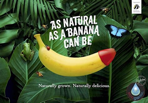 Ecoganic Red Tip Bananas Paving The Way For Sustainable Farming Pip