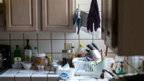 As your top rated local pest control company in auckland, you can rest assured that your property. 5 Common Kitchen Pests And Tips To Prevent An Infestation ...