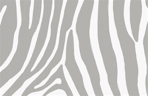 Zebra Print Wallpapers Top Free Zebra Print Backgrounds Wallpaperaccess