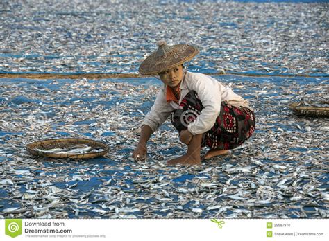 Fishing Village Ngapali Beach Myanmar Burma Editorial Image