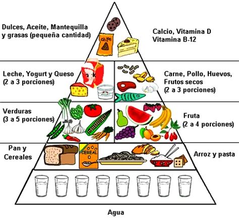 Partes De La Pirámide Alimenticia Pirámide Alimenticia