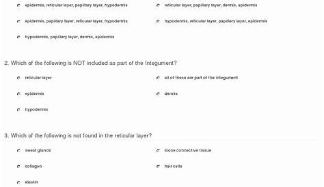 the integumentary system worksheet answers