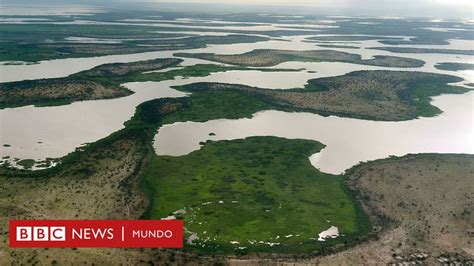 Por Qué El Lago Chad Uno De Los Más Grandes Del Mundo Ha Perdido Más