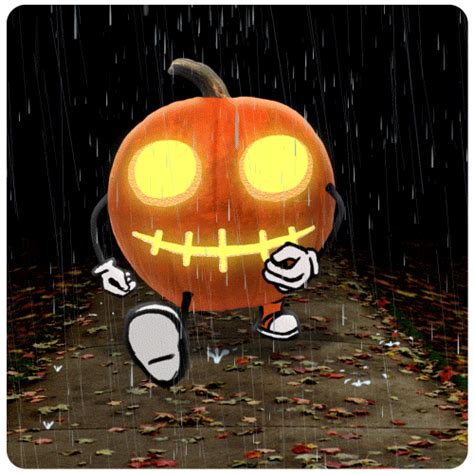 Jack O Lantern Halloween  By Chris Timmons Find And Share On Giphy