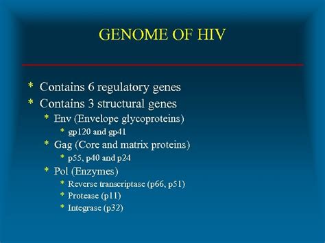 Hiv Infection And The Acquired Immunodeficiency Syndrome Aids