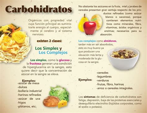 Díptico Carbohidratos Nutricion Consúmelos Sin Abusar De Ellos