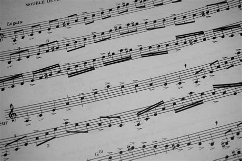 Music Notations Musical Notes Notation 104084 Bassam Saad