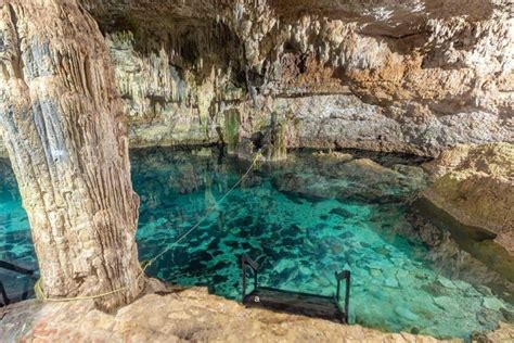 A Guide To Coba Cenotes An Unmissable Experience