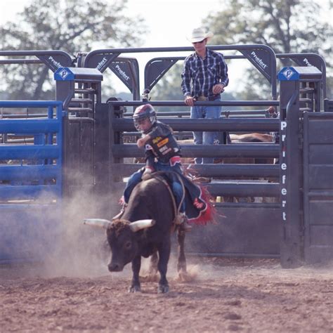 Priefert Adjust A Bull Bucking Chute Kovac Ranch Equipment