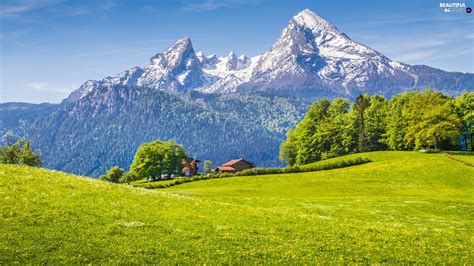 Bavaria Germany House Forest Viewes Alps Mountains