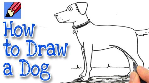 How to draw a dog face for beginners? How to Draw a Dog Real Easy - YouTube