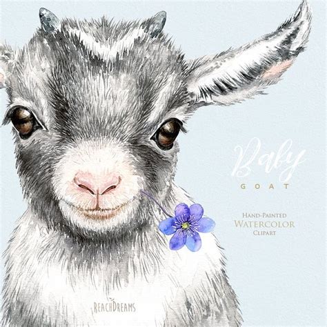 Baby Goat Watercolor Clipart Nursery Art Little Animals | Etsy | Goat