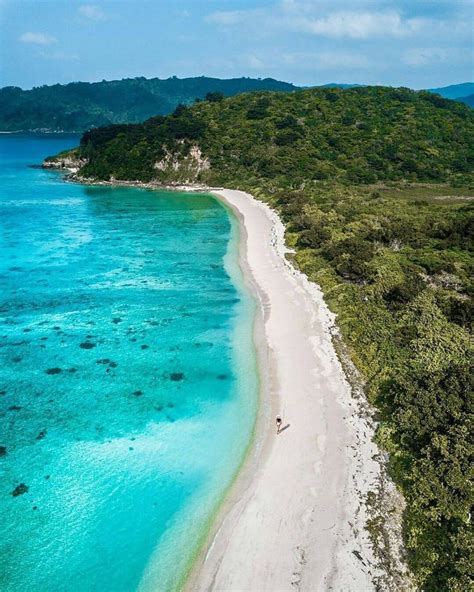 Iriomote Island Japan In 2020 Island Pictures Visit Japan