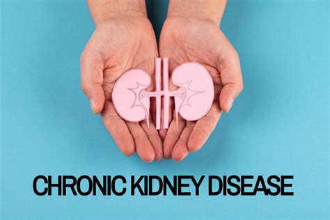 What Is Chronic Kidney Disease Expert Reveals Major Symptoms Causes