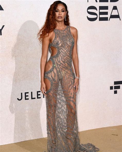 Joan Smalls See Through In Naked Dress 11 Photos Video The Fappening