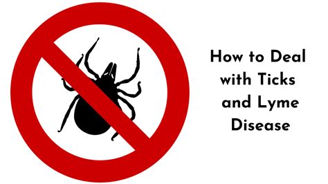 What You Need To Know About Ticks And Lyme Disease Turn2thesimple