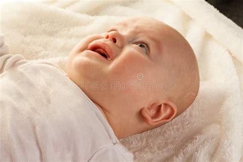 Face Of A Crying Sad Babies Stock Photo Image Of Together Unhappy