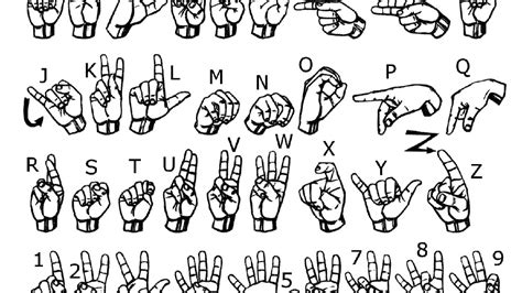 Police Deaf Man Stabbed When Sign Language Confused For Gang Sign
