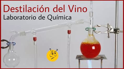 DestilaciÓn Del Vino 🍷 Laboratorio De QuÍmica 🧪 Youtube