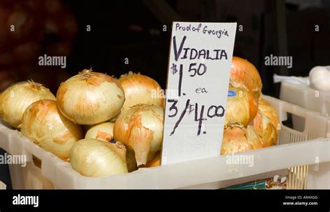 Vidalia Onion Hi Res Stock Photography And Images Alamy