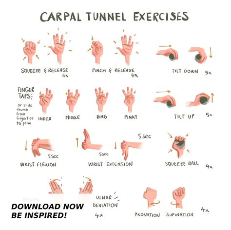 Carpal Tunnel Exercises Print Physical White Hand And Wrist Exercises