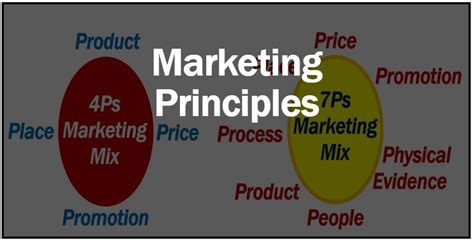 What Are Marketing Principles Definition And Examples