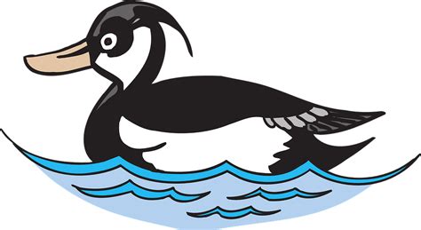 Water Bird Duck · Free Vector Graphic On Pixabay