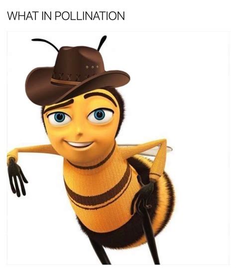 The Best 16 Barry Benson Bee Movie Memes Odeasesz