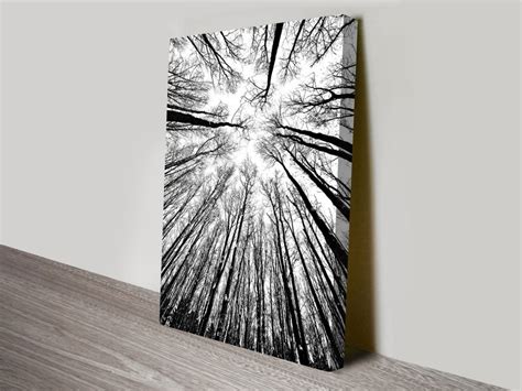 Low price guarantee, fast shipping & free returns, and custom framing options on all prints. Forest Canopy Black and White Artwork on Canvas