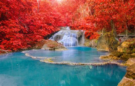 Wallpaper Autumn Forest Landscape Waterfall Forest Nature Water