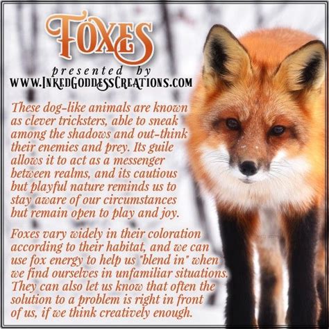 ~ Foxes ~ Although Considered Cruel Tricksters In Western Beliefs