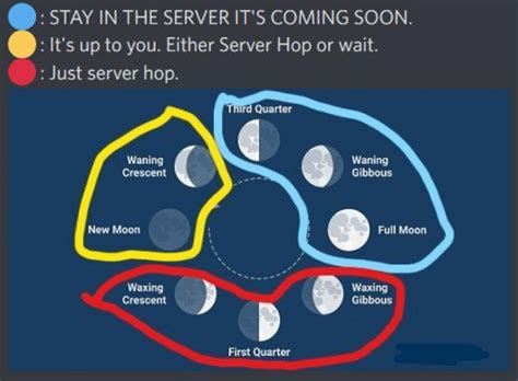 What Time Full Moon In Blox Fruits Arlina Cornelia