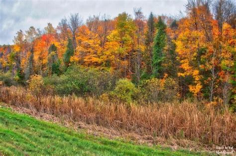 Fall Foliage In Quebéc Travel To Eat