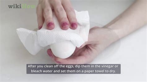 How To Clean Eggs Youtube