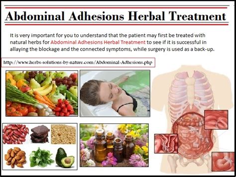 Natural Herbal Treatment Abdominal Adhesions Herbal Treatment With