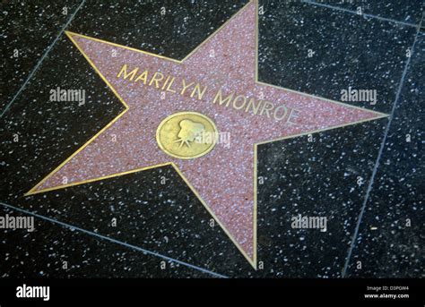 Hollywoods Biggest Stars Are Honored On The Walk Of Fame Hi Res Stock