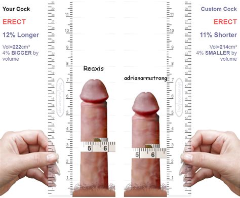 Cm Penis Perfect Penis Size Revealed By Scientists Using D Schlong C