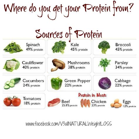 Home Ideazz Sources Of Protein