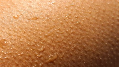 When You Get Goosebumps Heres Whats Really Happening