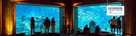 Dubai Burj Khalifa And The Lost Chambers Aquarium Combo Tickets